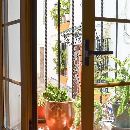 펜션 Casa Tipica Y Terraza, Maison Andalouse, Typical House With Rooftop