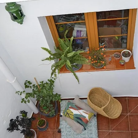 Casa Tipica Y Terraza, Maison Andalouse, Typical House With Rooftop 別荘